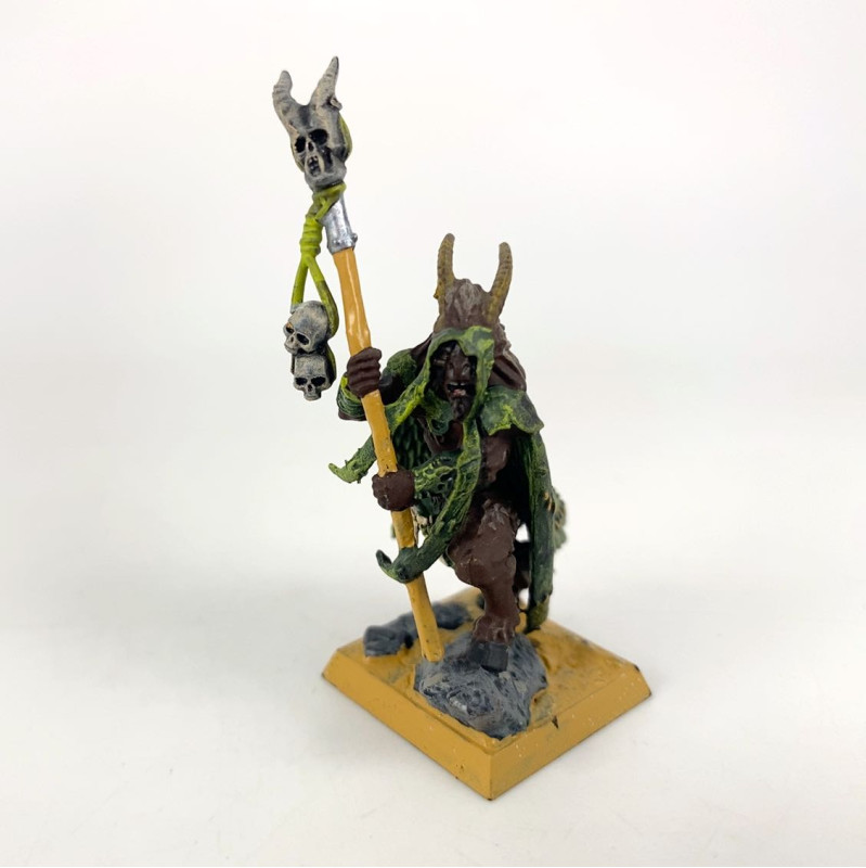 Beastmen Shaman