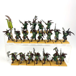 bestigors Herd