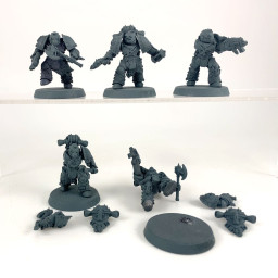 Space Wolves - Deathsworn Pack