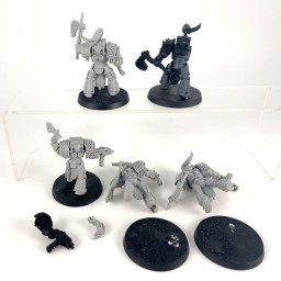 Space Wolves – Varagyr Wolf Guard Terminators