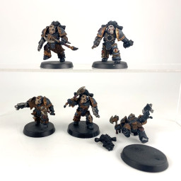 Space Wolves - Deathsworn Pack