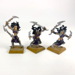 Witch Elves