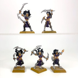 Witch Elves