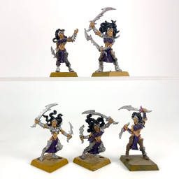 Witch Elves