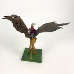 general on Griffon