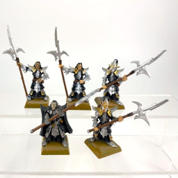 Black Guard of Naggarond