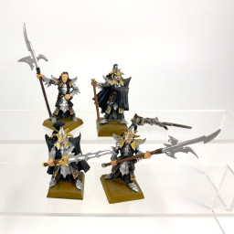 Black Guard of Naggarond