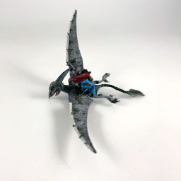 Terradon Rider