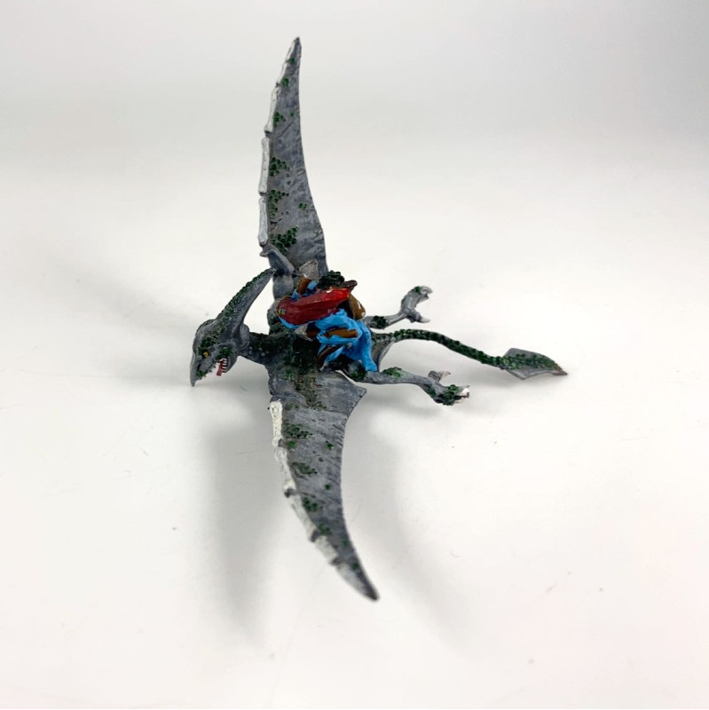 Terradon Rider