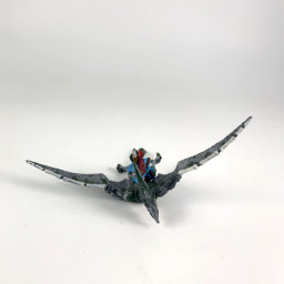 Terradon Rider