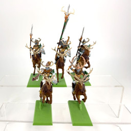 Cavaliers Sauvages