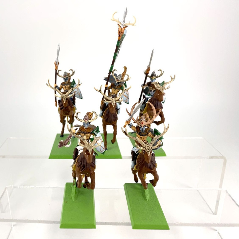 Wild Riders