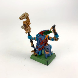 Skink Priest