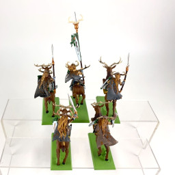 Wild Riders