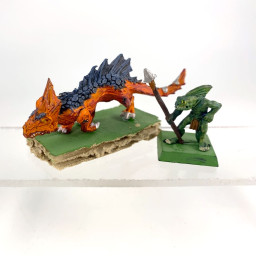 salamanders