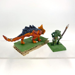 salamanders