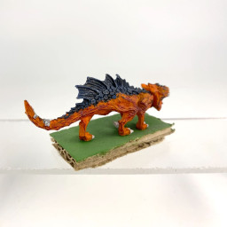 salamanders
