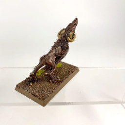 Chaos warhounds