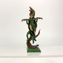 Mages Elfes Sylvains