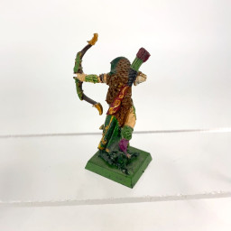 Wood Elf Waystalker