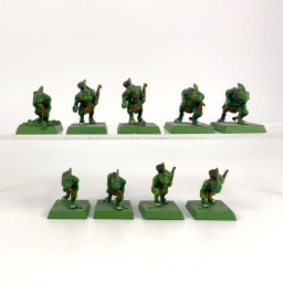Skinks Chameleon