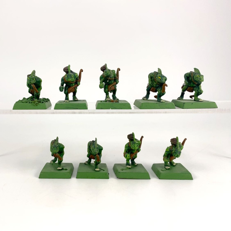 Chameleon Skinks