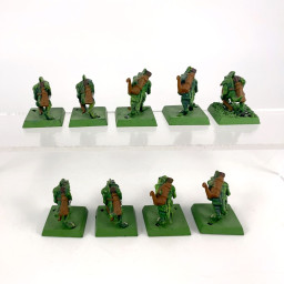 Chameleon Skinks