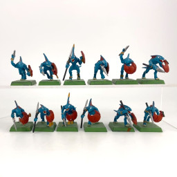 skinks incomplet