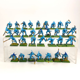 skinks incomplet