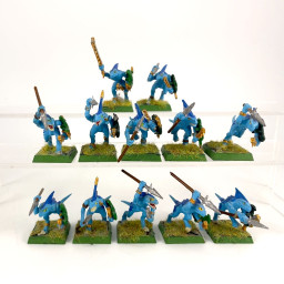 skinks incomplet
