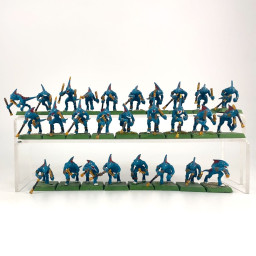 skinks