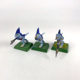 skinks