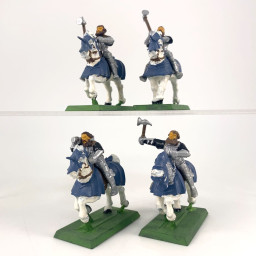 Knights of th White Wolf