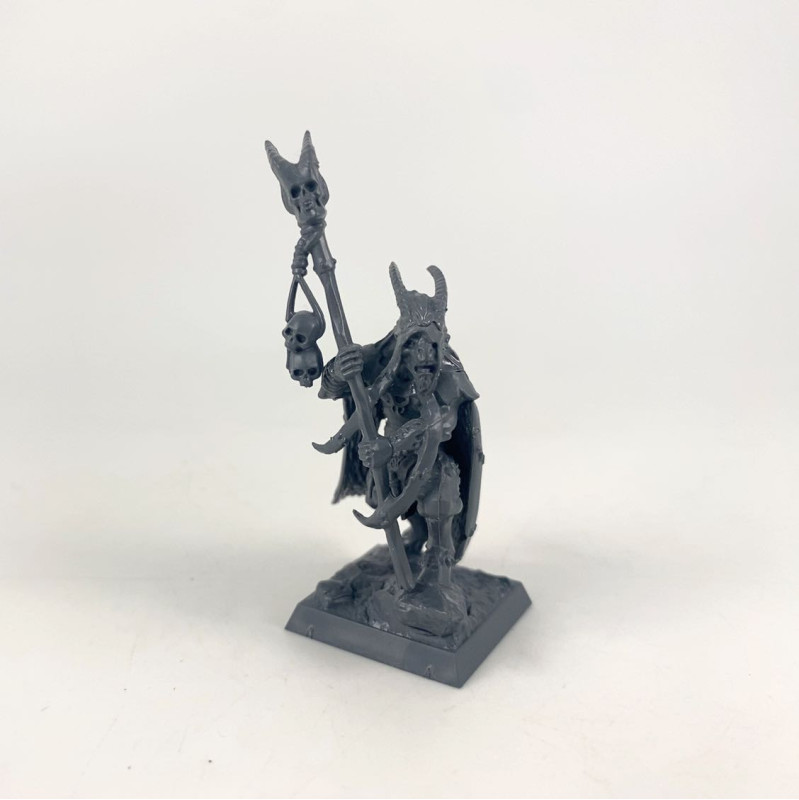Beastmen Shaman