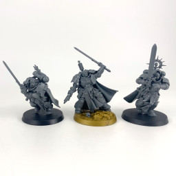 Bladeguard Veteran Squad...