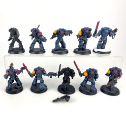 grey hunters