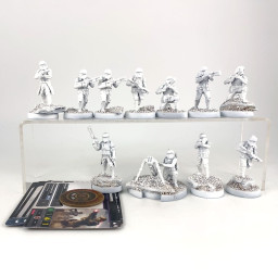 Imperial Shoretroopers...