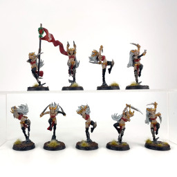Witch Aelves