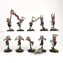 Witch Aelves