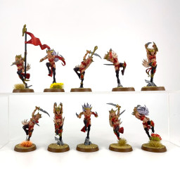 Witch Aelves