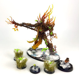 Treelord Ancient