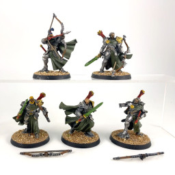 Vigilors