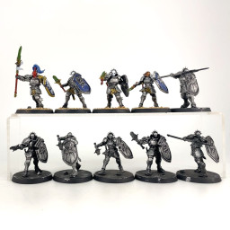 Vindictors