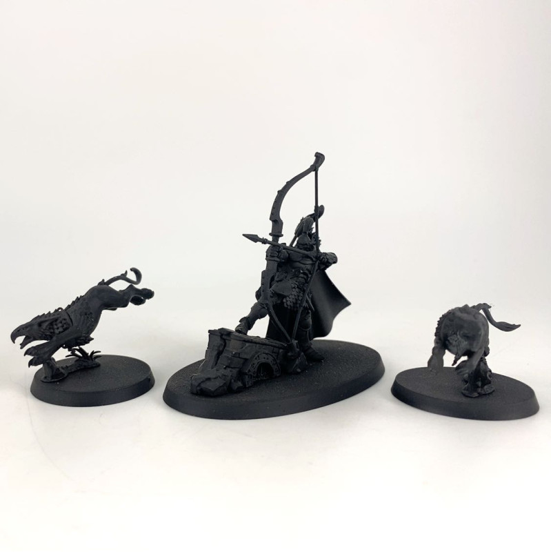 Chevalier-Judicator avec Gryph-dogues