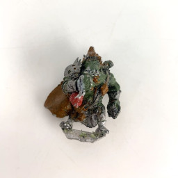 Orc Warrior