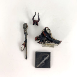 Chaos Sorcerer with Spell...