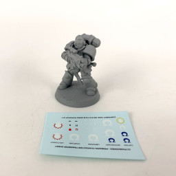 Exclusive Primaris Intercessor Veteran Sergeant