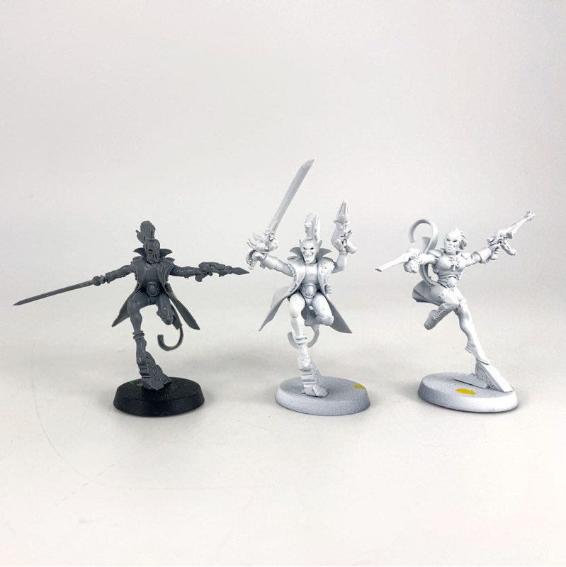Harlequins troup