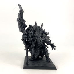 Shaman Homme Bête
