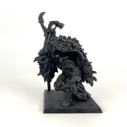 Shaman Homme Bête